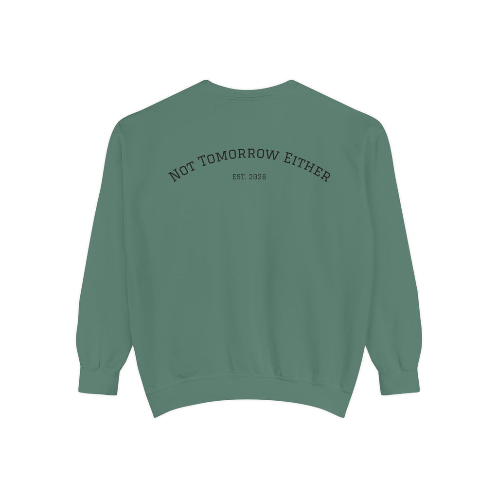 Not Tomorrow, Either, Sweatshirt: Magic 8Ball Crewneck