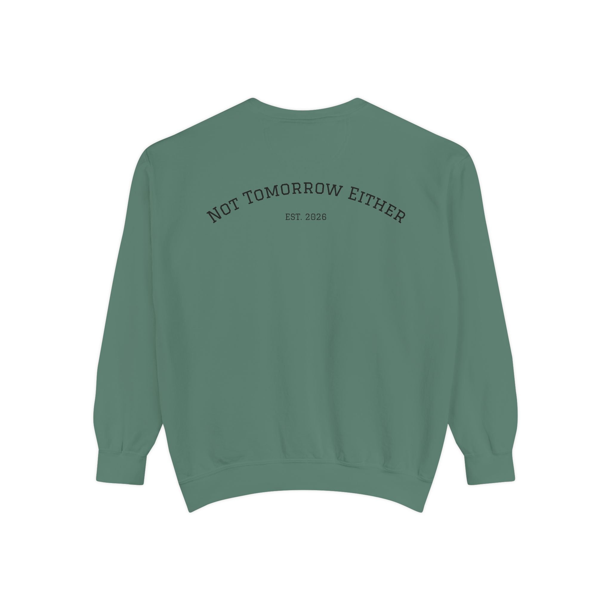 Not Tomorrow, Either, Sweatshirt: Magic 8Ball Crewneck