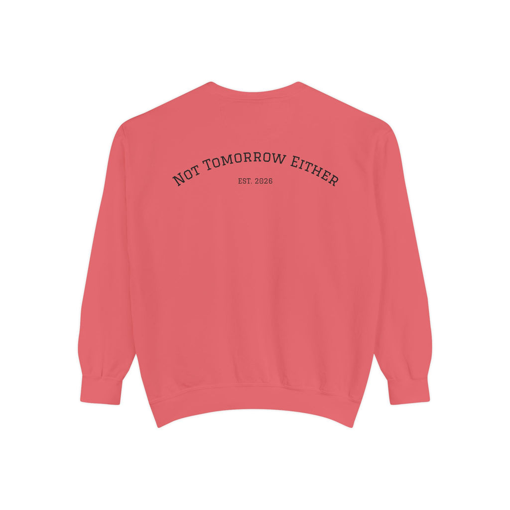 Not Tomorrow, Either, Sweatshirt: Magic 8Ball Crewneck