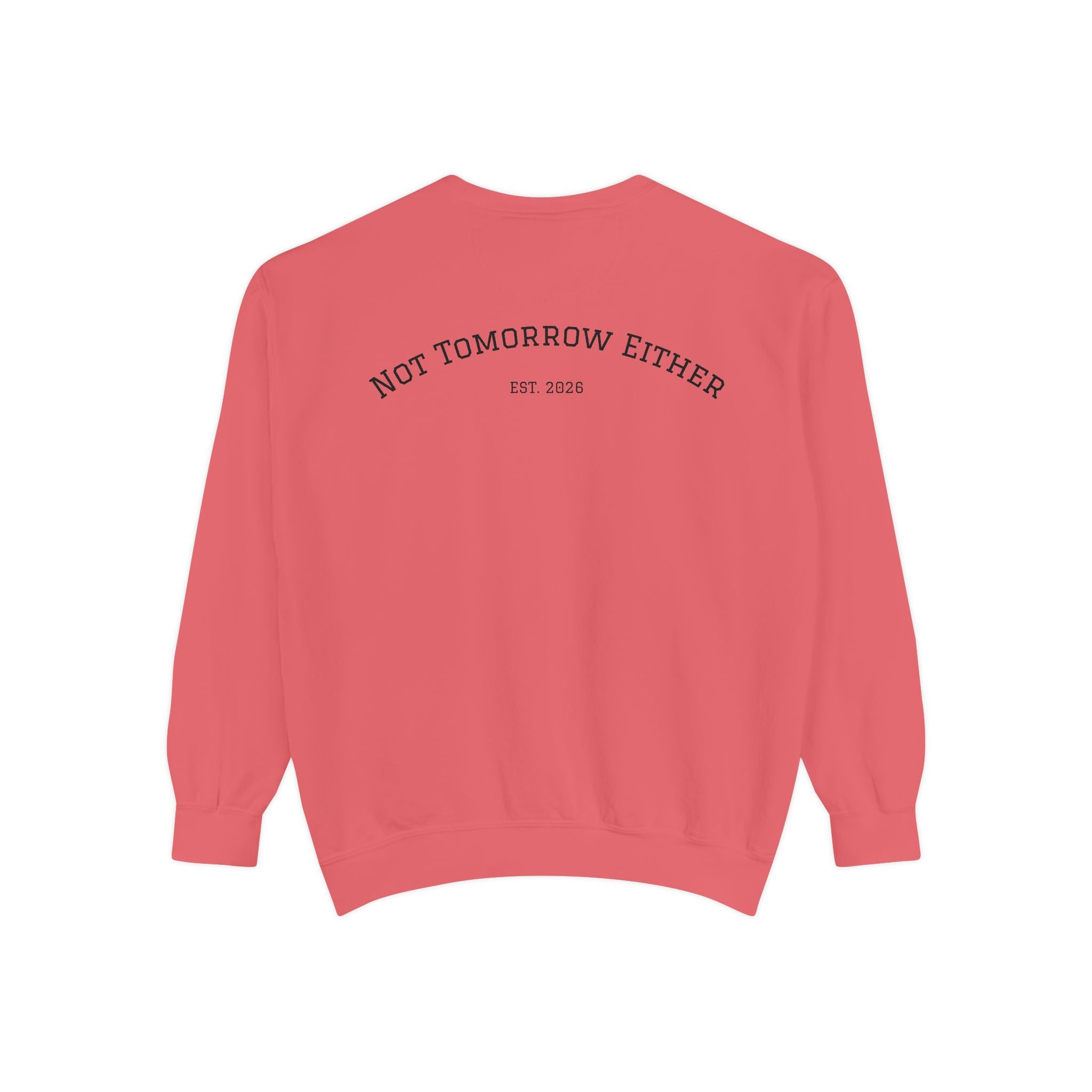 Not Tomorrow, Either, Sweatshirt: Magic 8Ball Crewneck