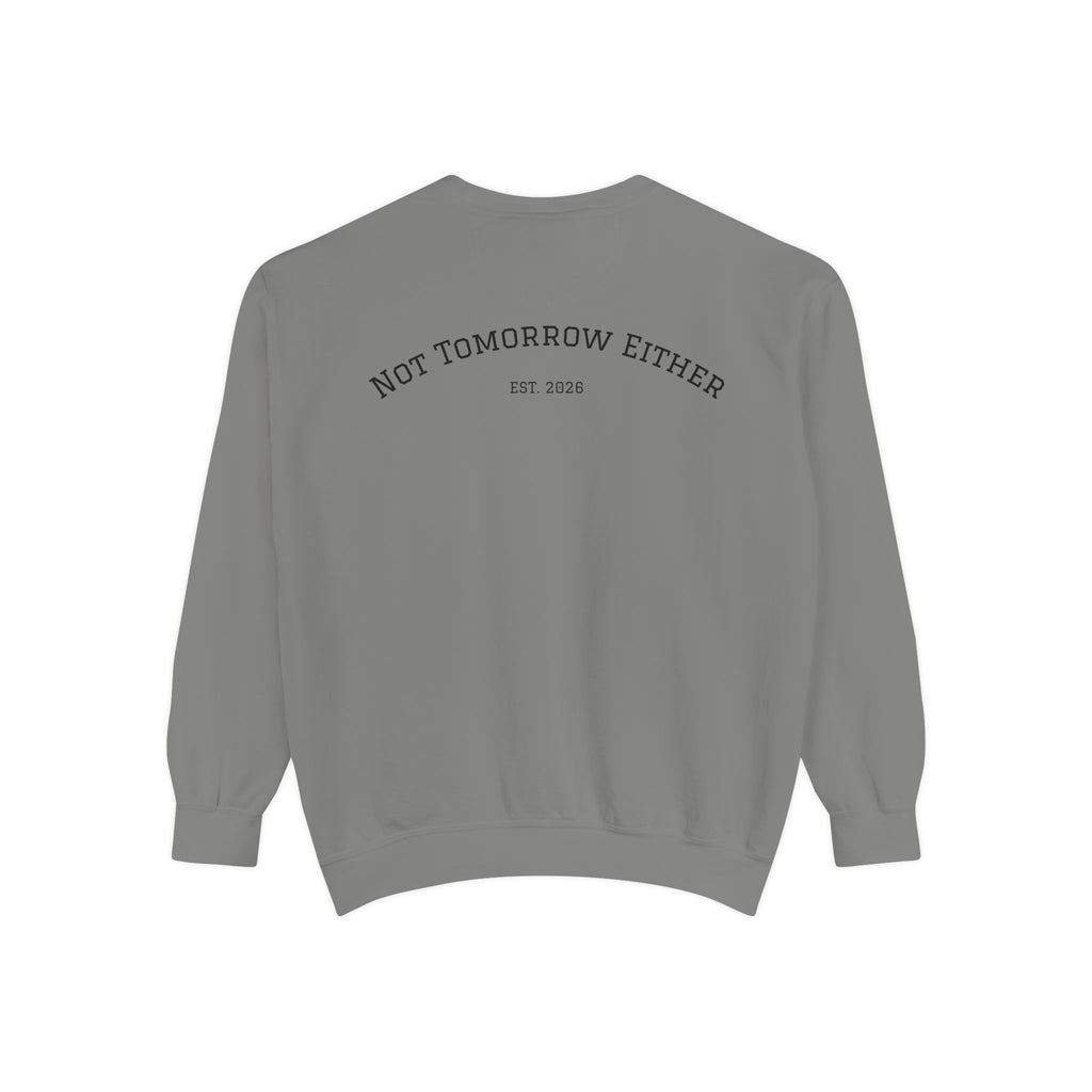 Not Tomorrow, Either, Sweatshirt: Magic 8Ball Crewneck