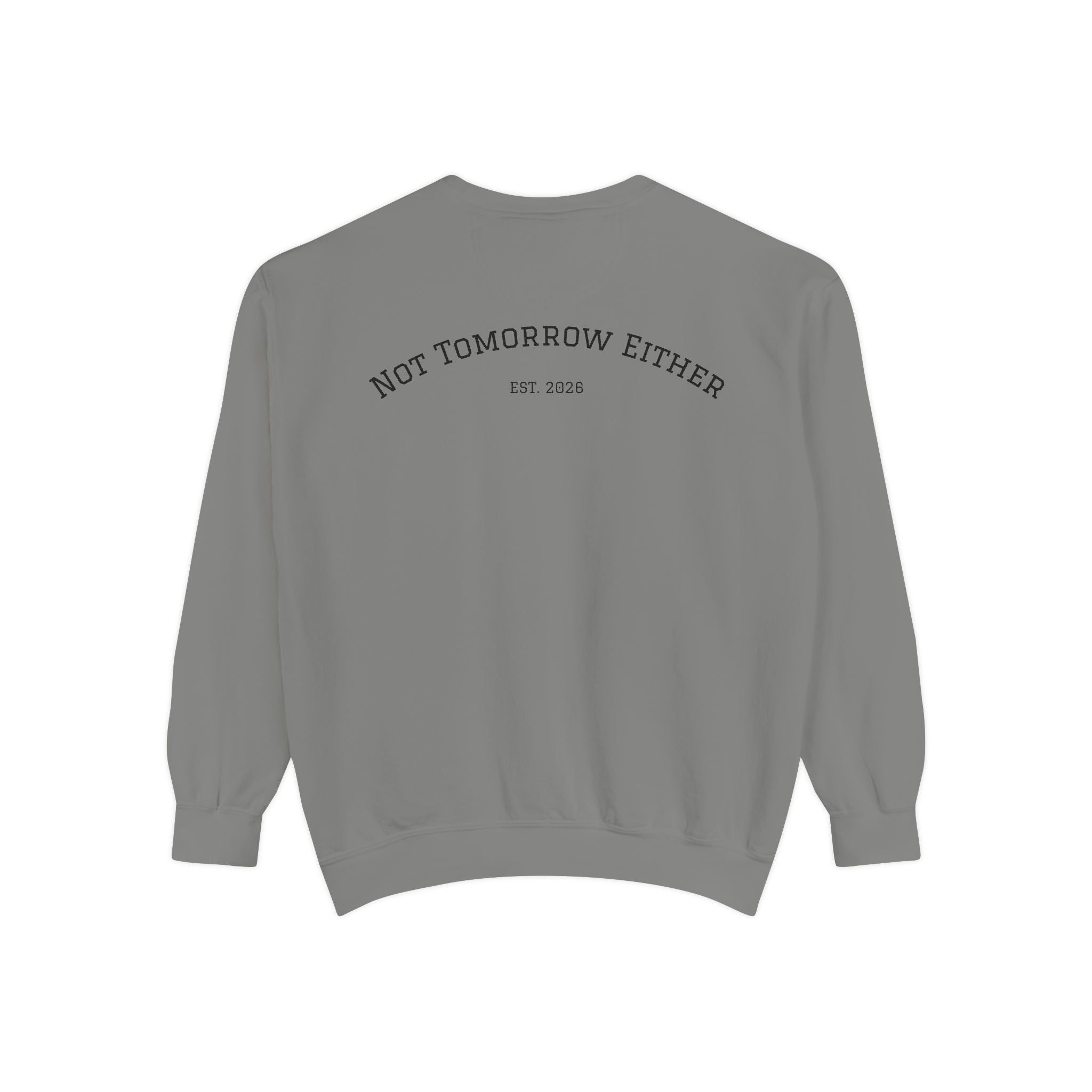 Not Tomorrow, Either, Sweatshirt: Magic 8Ball Crewneck