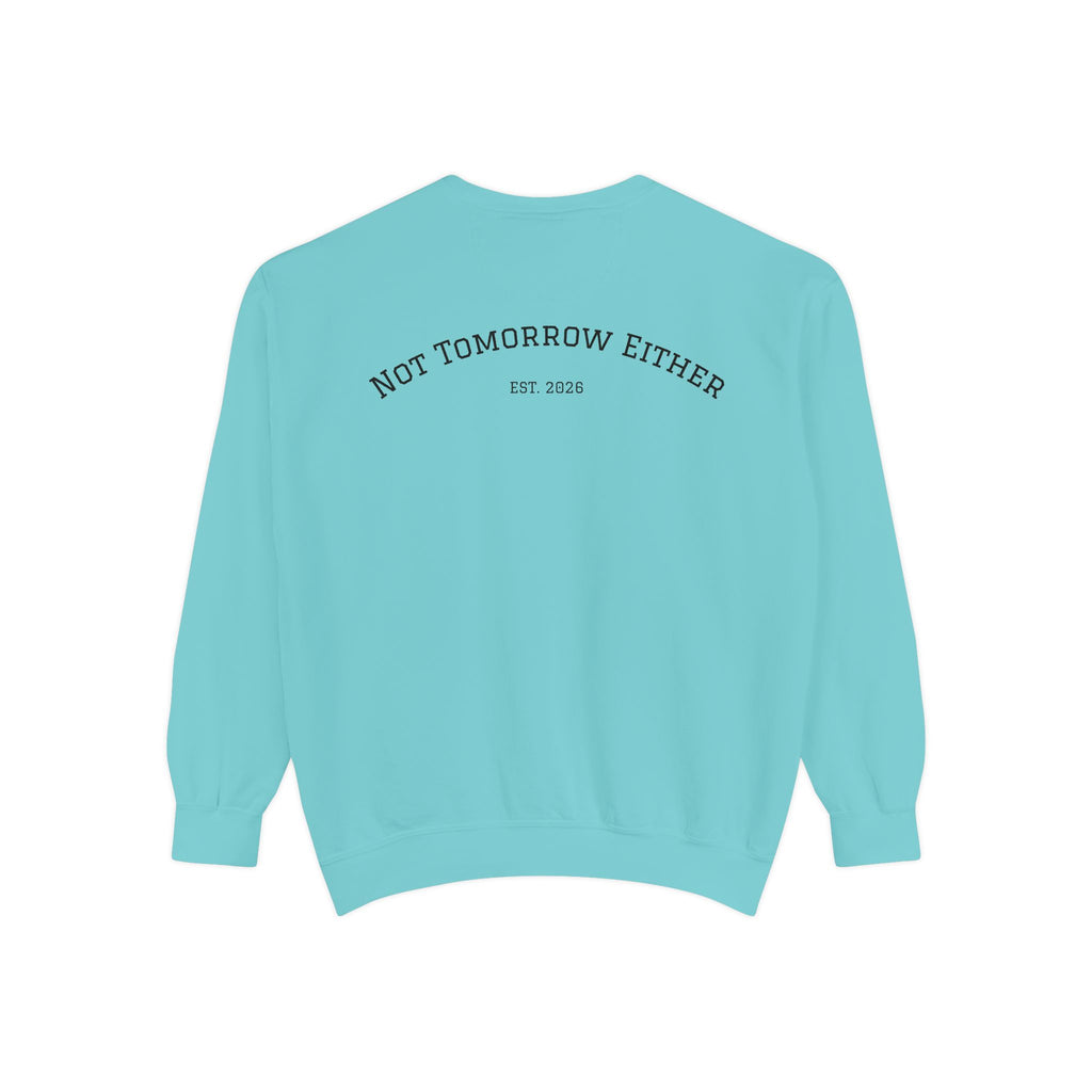 Not Tomorrow, Either, Sweatshirt: Magic 8Ball Crewneck