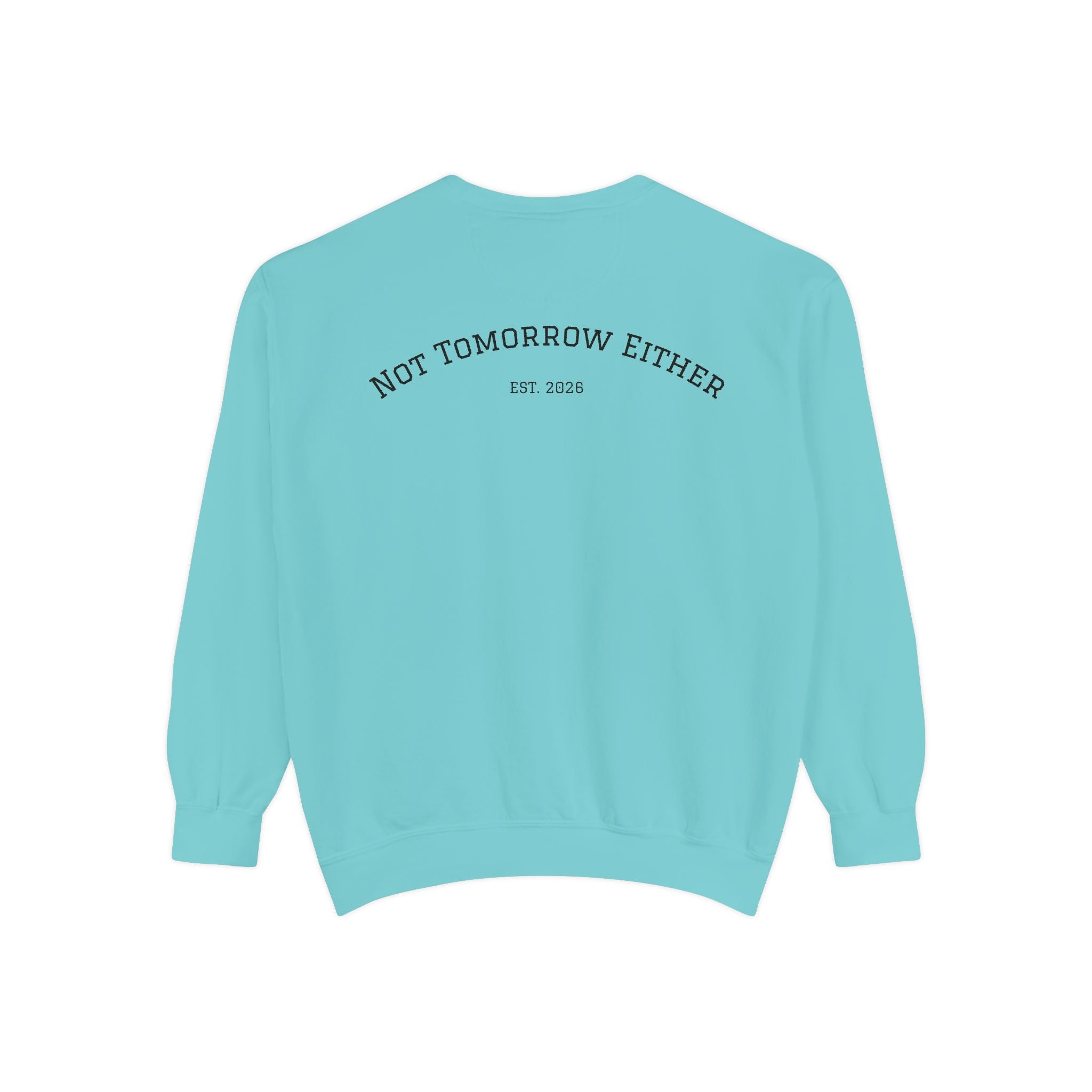 Not Tomorrow, Either, Sweatshirt: Magic 8Ball Crewneck