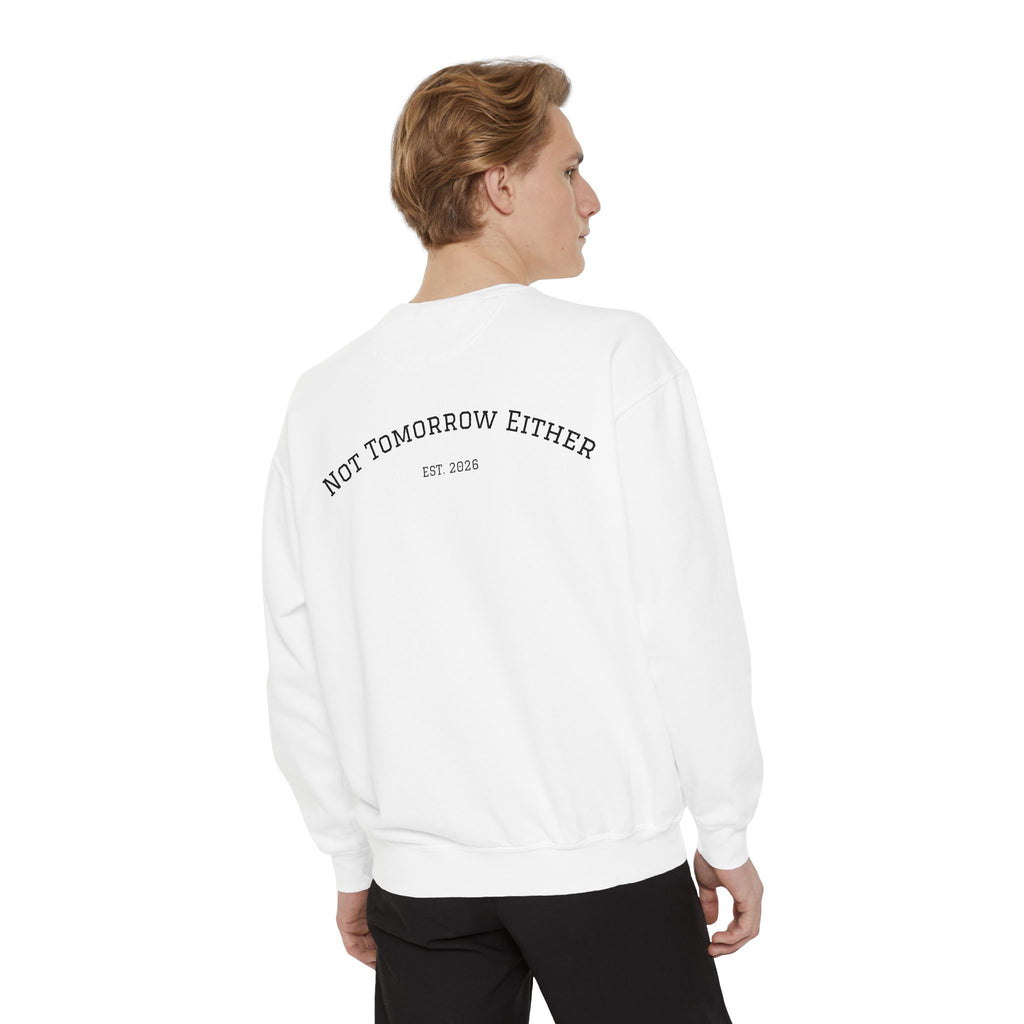 Not Tomorrow, Either, Sweatshirt: Magic 8Ball Crewneck