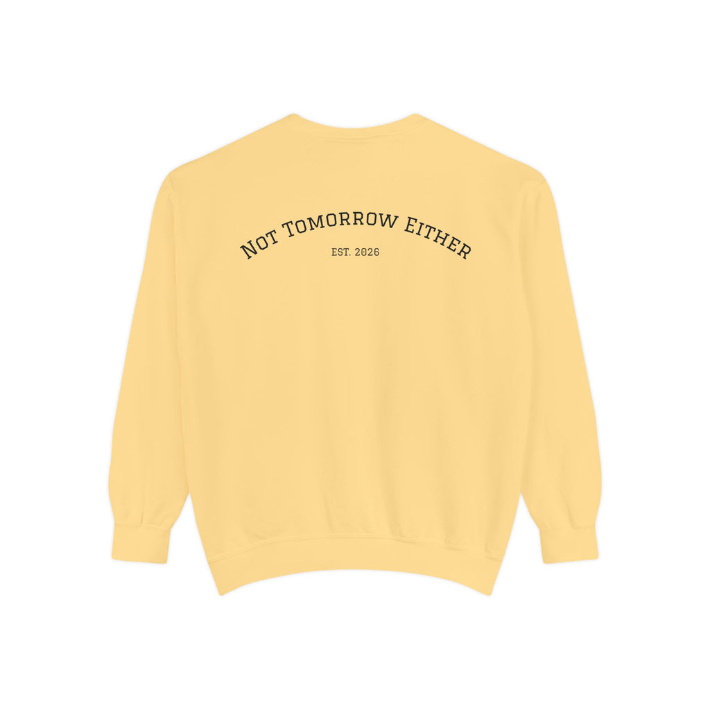 Not Tomorrow, Either, Sweatshirt: Magic 8Ball Crewneck