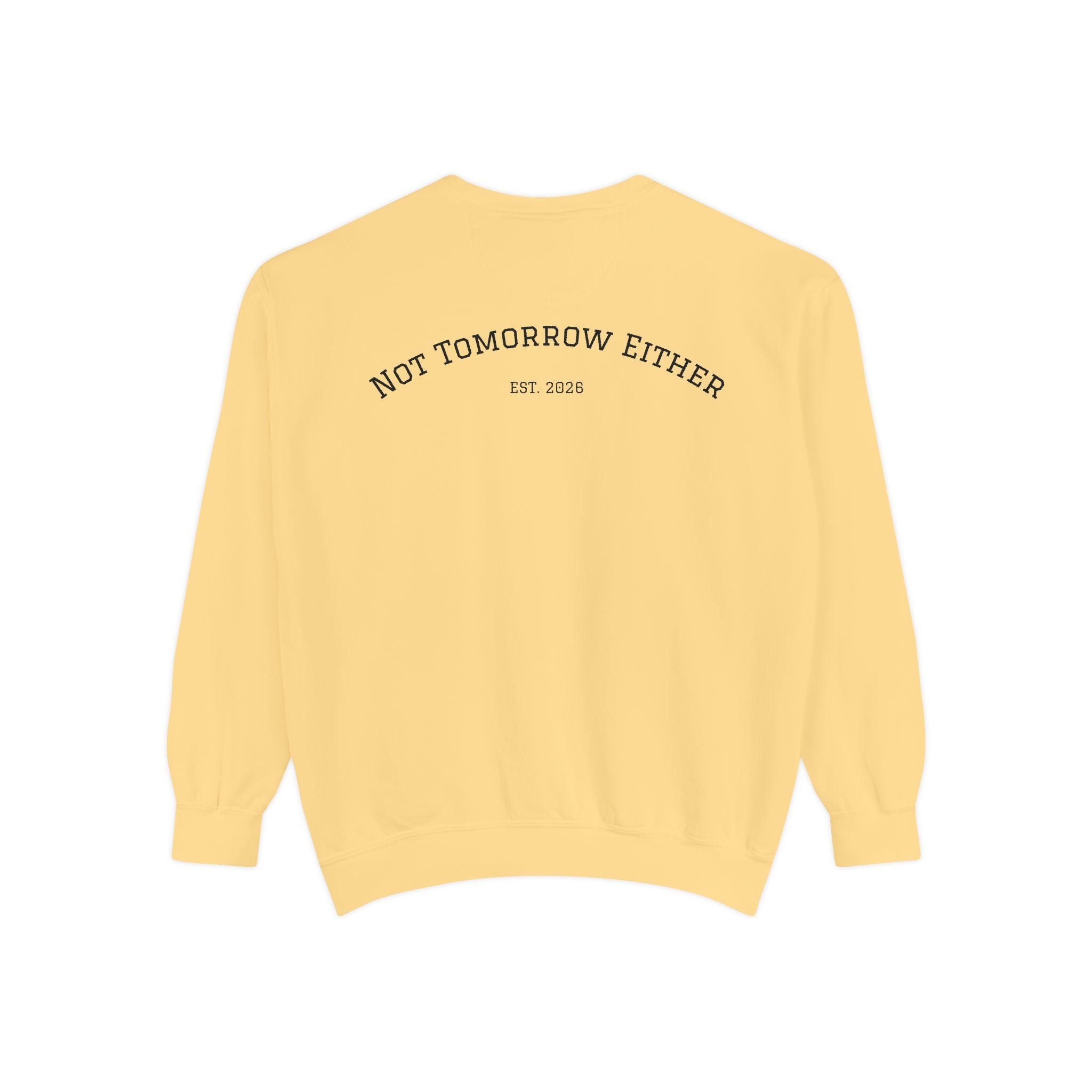 Not Tomorrow, Either, Sweatshirt: Magic 8Ball Crewneck