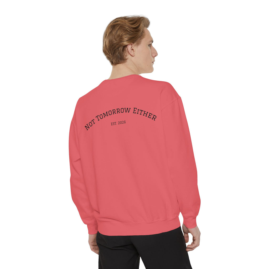 Not Tomorrow, Either, Sweatshirt: Magic 8Ball Crewneck