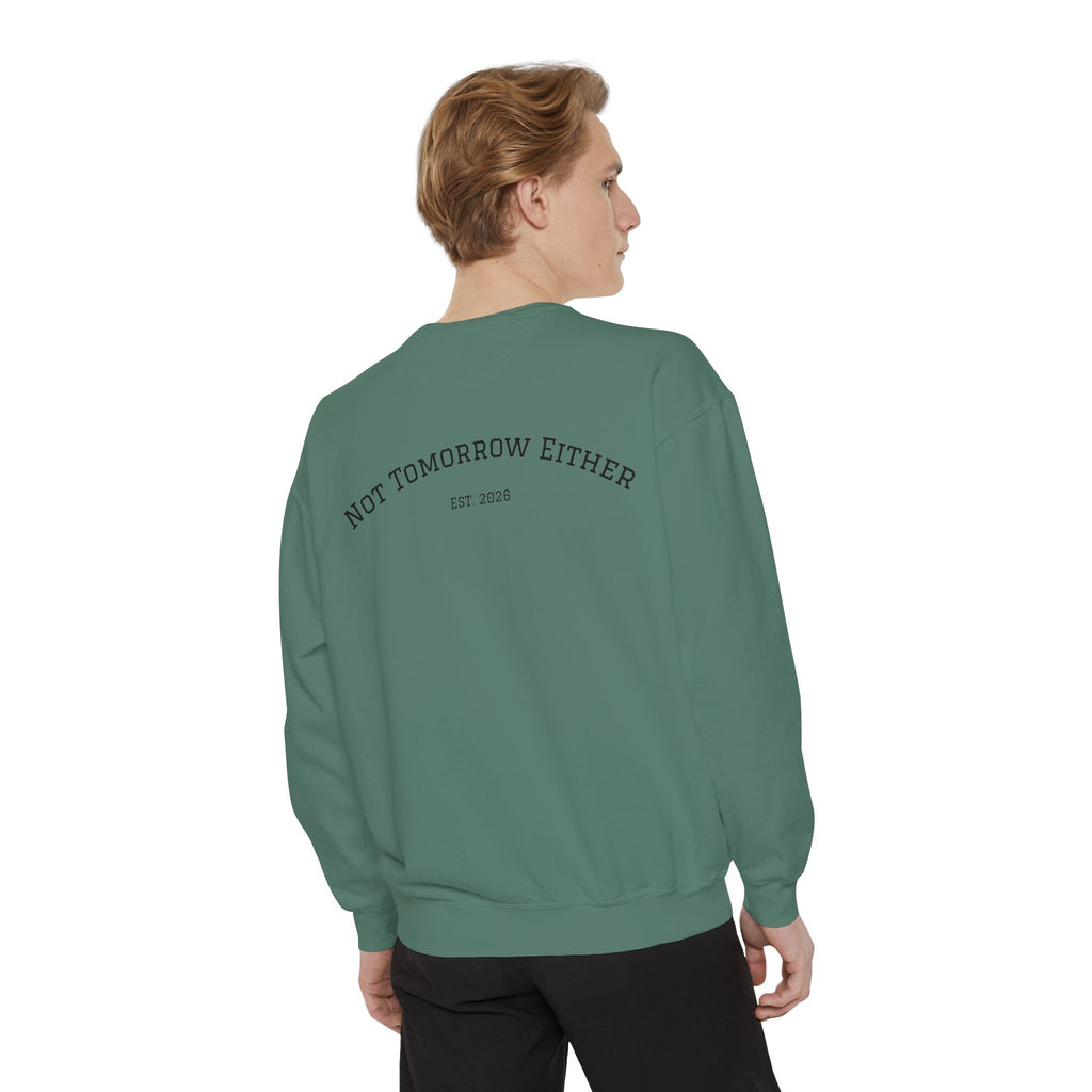 Not Tomorrow, Either, Sweatshirt: Magic 8Ball Crewneck