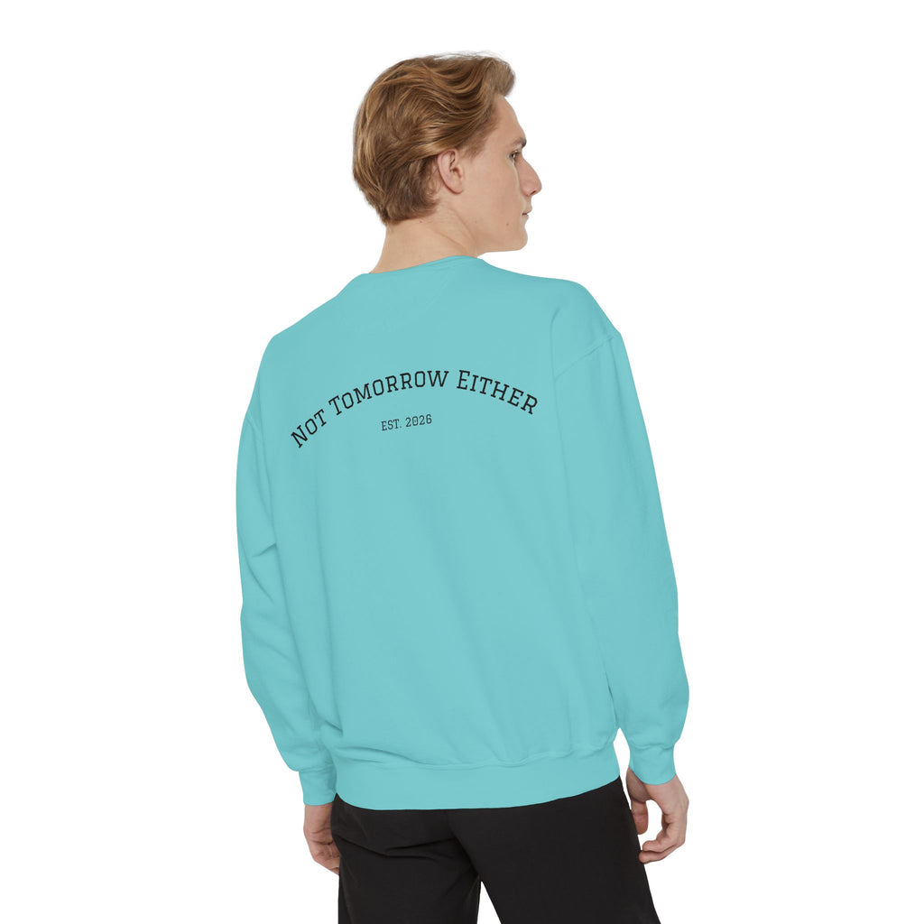 Not Tomorrow, Either, Sweatshirt: Magic 8Ball Crewneck