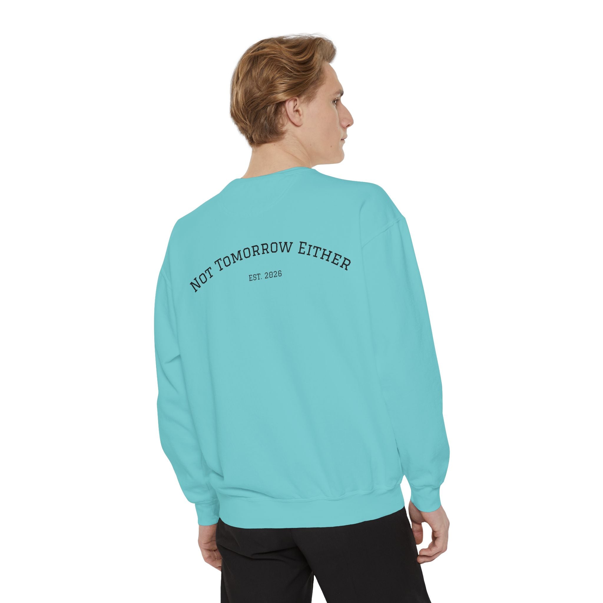 Not Tomorrow, Either, Sweatshirt: Magic 8Ball Crewneck