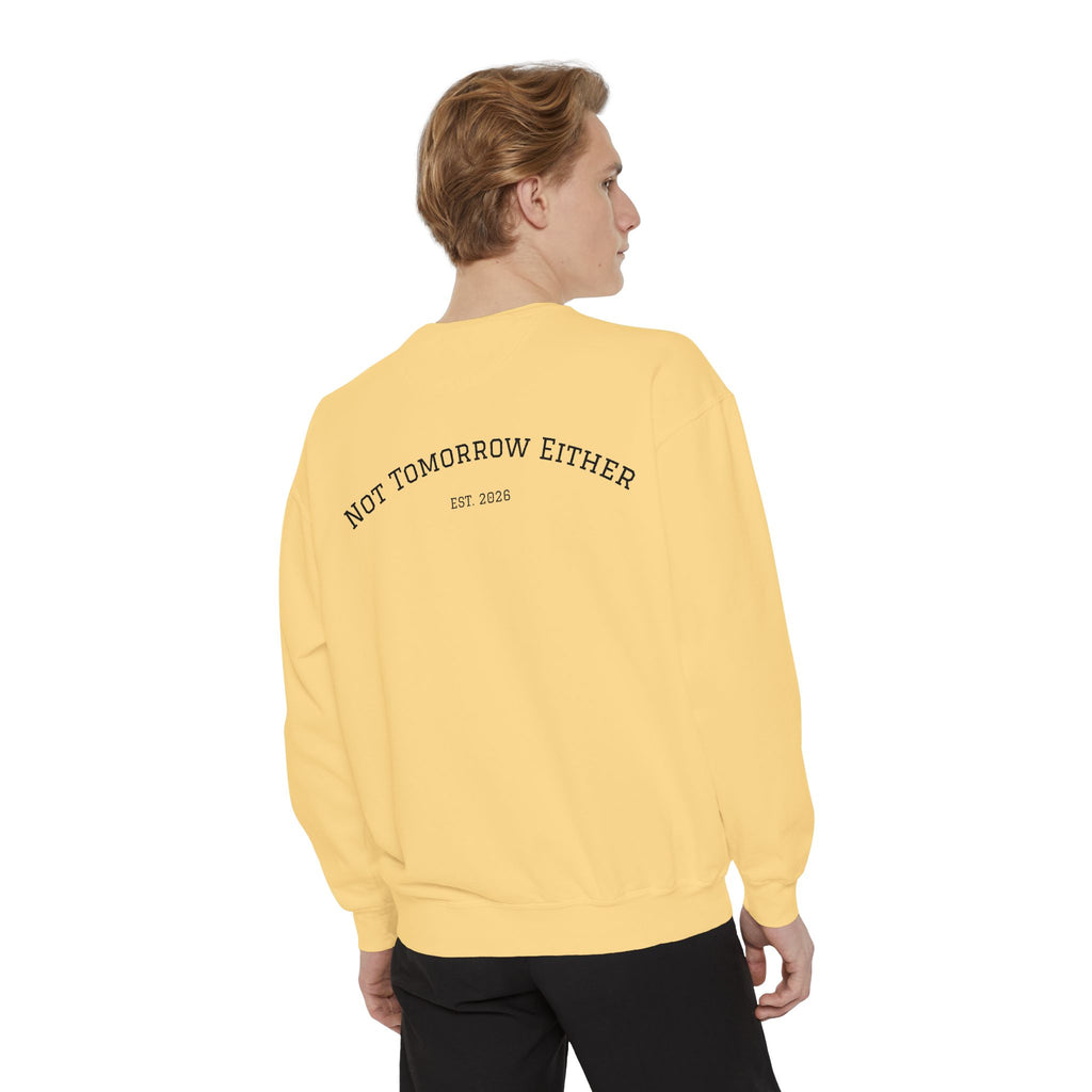 Not Tomorrow, Either, Sweatshirt: Magic 8Ball Crewneck