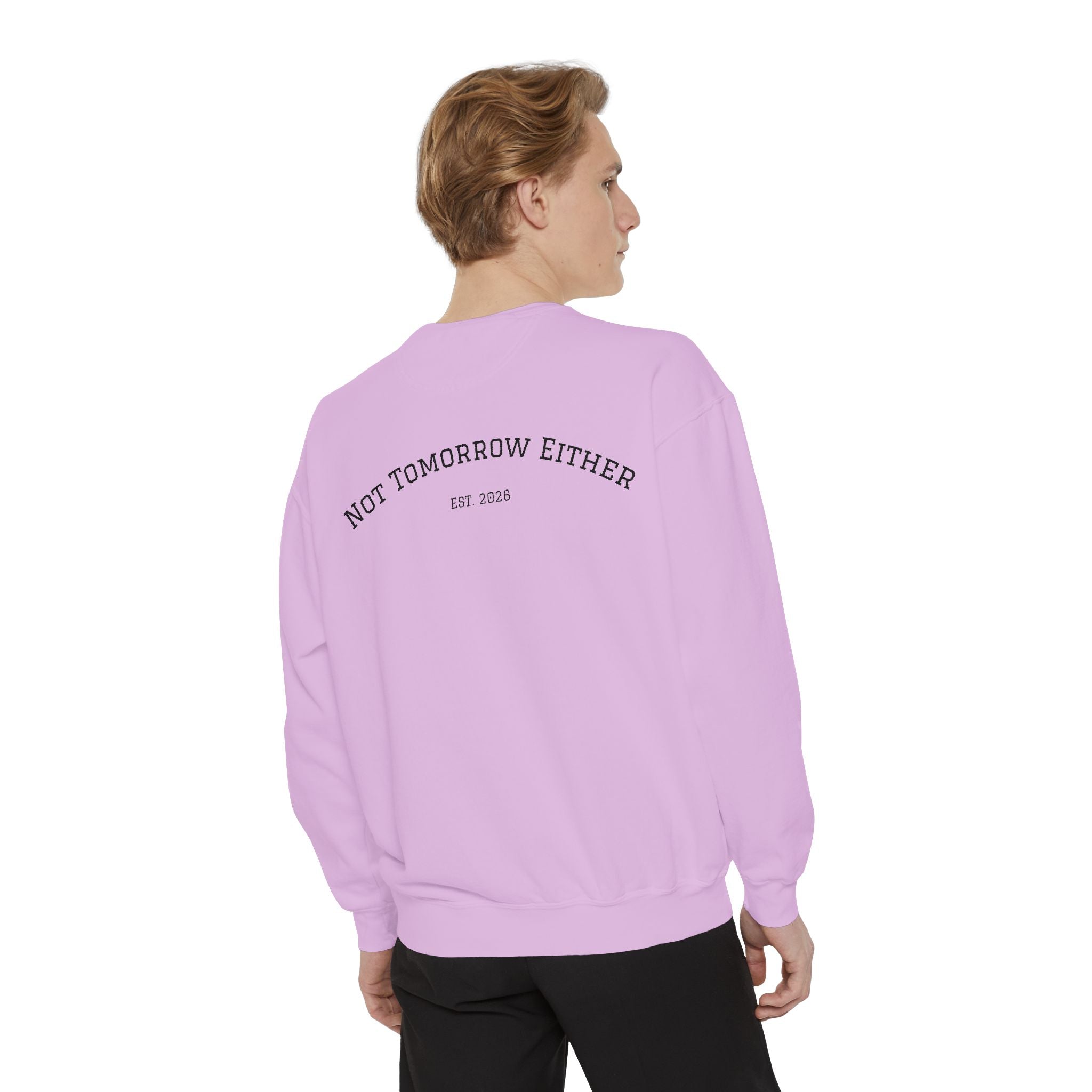Not Tomorrow, Either, Sweatshirt: Magic 8Ball Crewneck