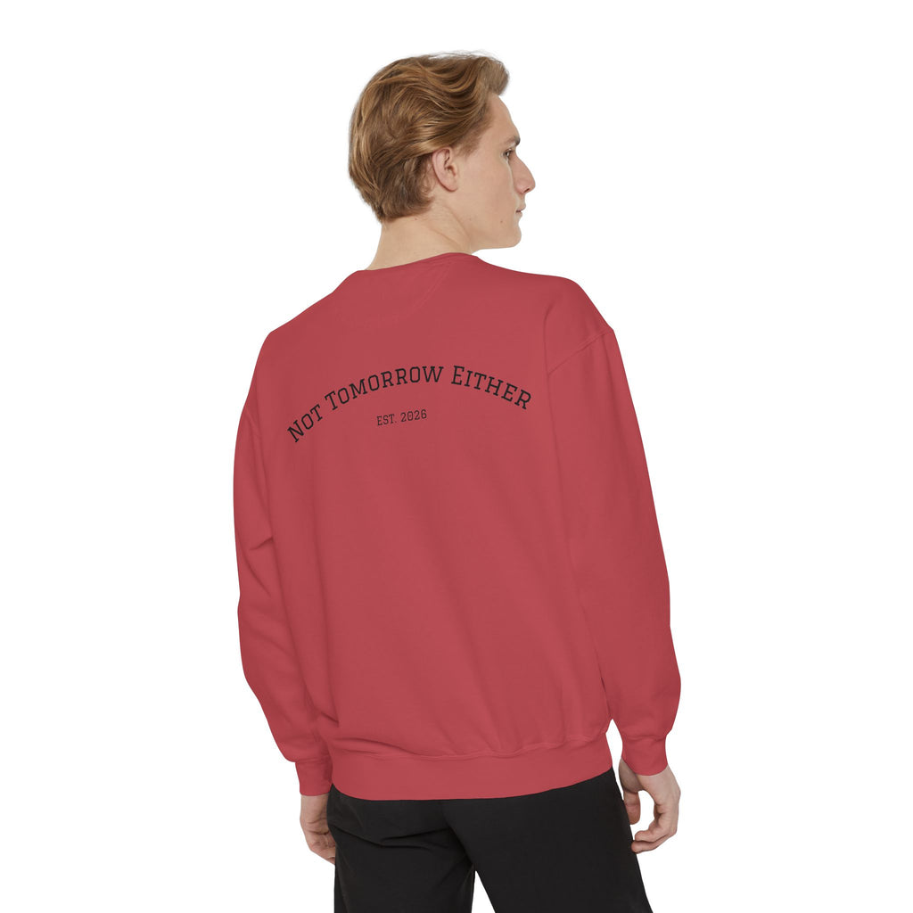 Not Tomorrow, Either, Sweatshirt: Magic 8Ball Crewneck