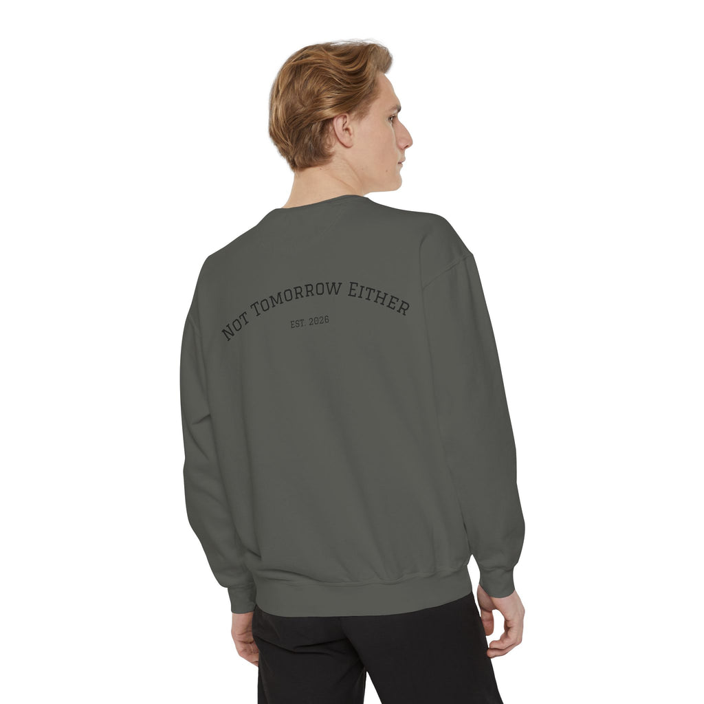 Not Tomorrow, Either, Sweatshirt: Magic 8Ball Crewneck