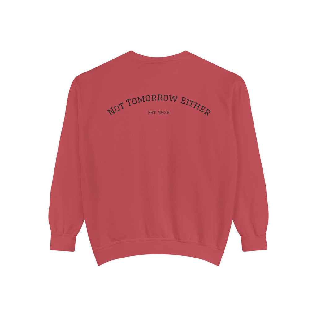 Not Tomorrow, Either, Sweatshirt: Magic 8Ball Crewneck