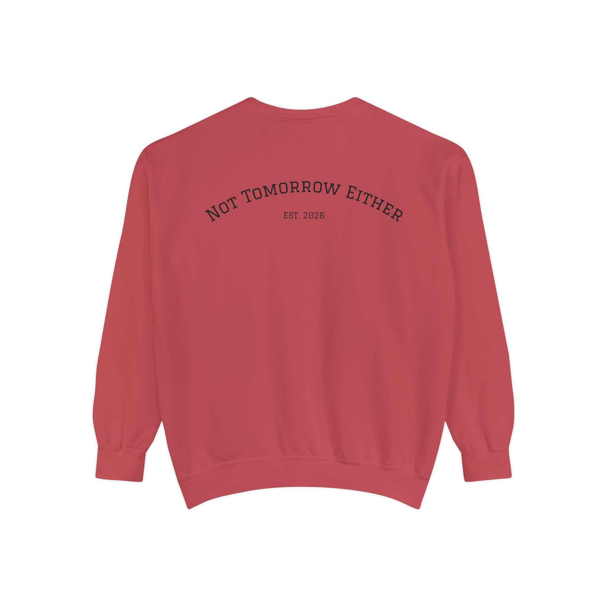 Not Tomorrow, Either, Sweatshirt: Magic 8Ball Crewneck