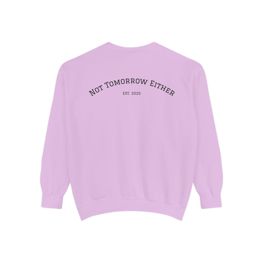 Not Tomorrow, Either, Sweatshirt: Magic 8Ball Crewneck