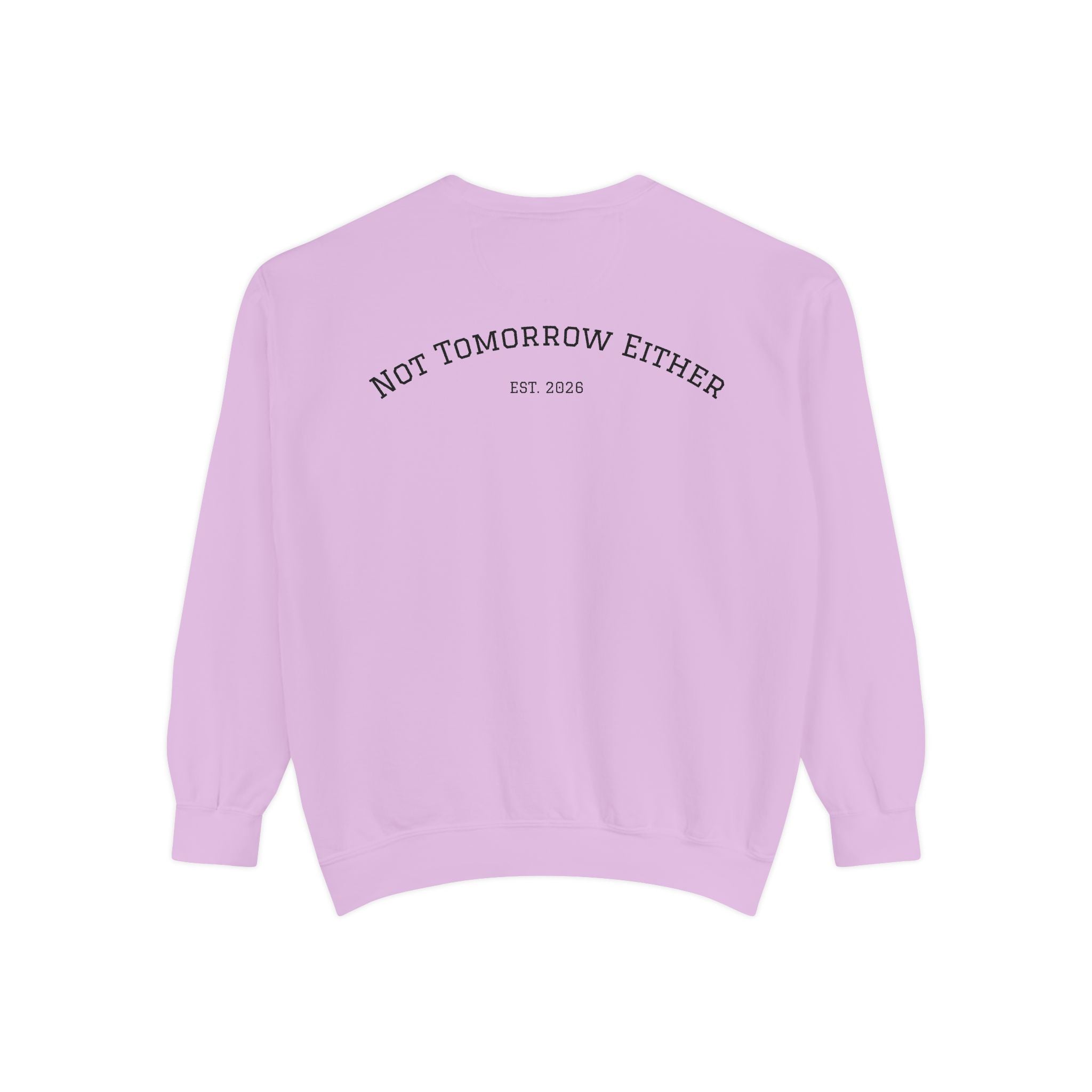 Not Tomorrow, Either, Sweatshirt: Magic 8Ball Crewneck