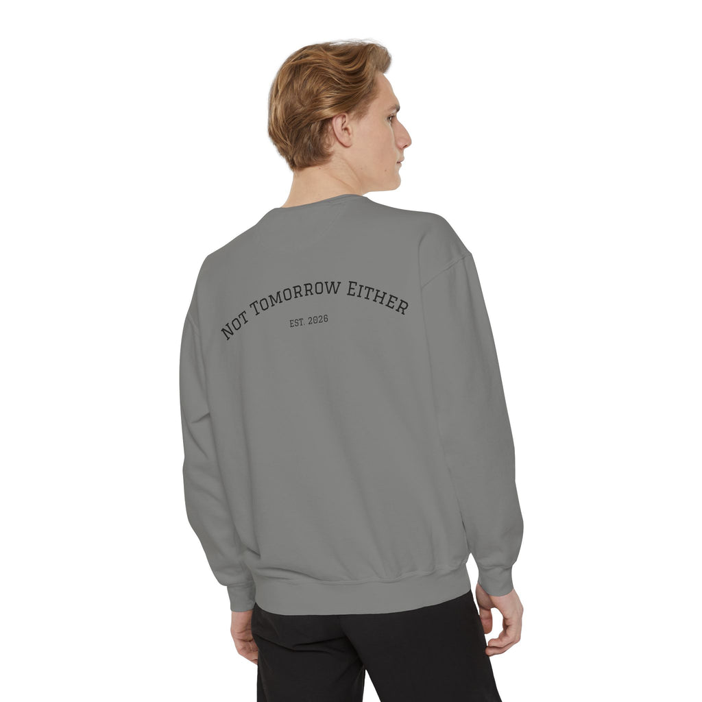 Not Tomorrow, Either, Sweatshirt: Magic 8Ball Crewneck