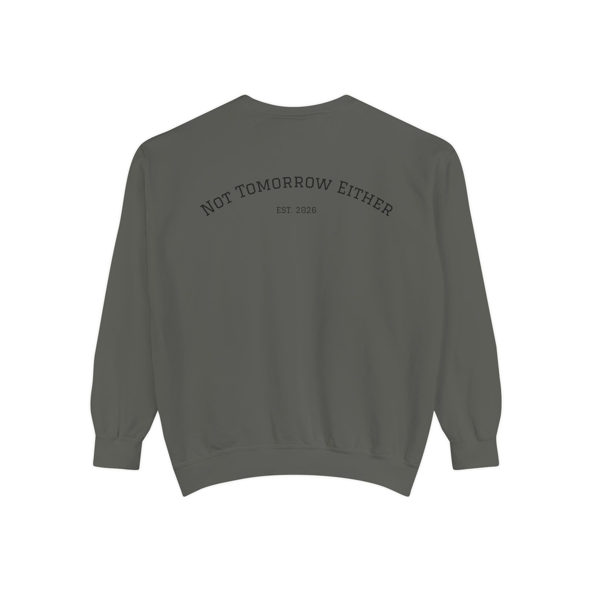 Not Tomorrow, Either, Sweatshirt: Magic 8Ball Crewneck