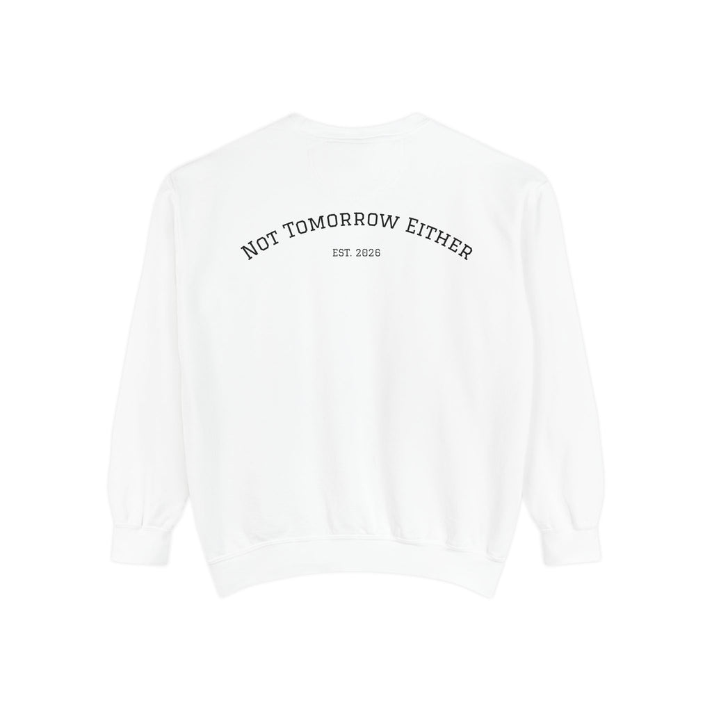 Not Tomorrow, Either, Sweatshirt: Magic 8Ball Crewneck
