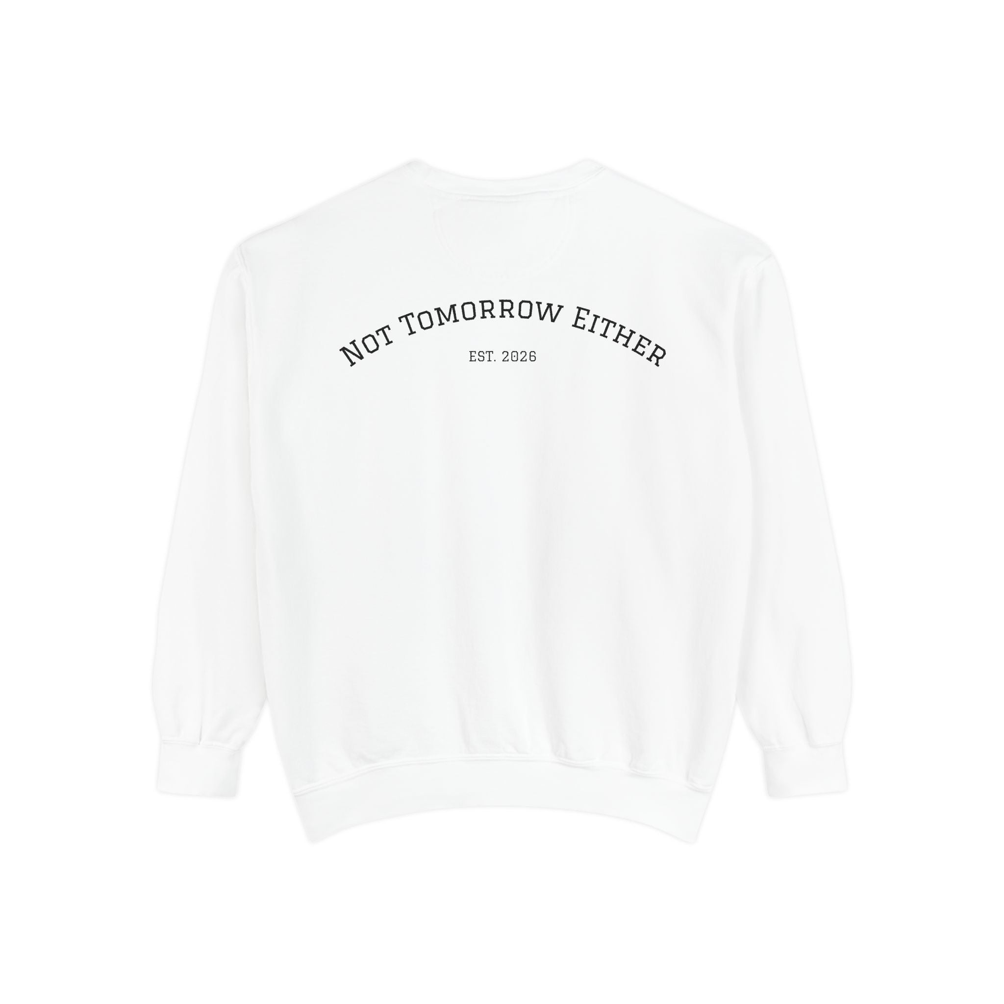 Not Tomorrow, Either, Sweatshirt: Magic 8Ball Crewneck